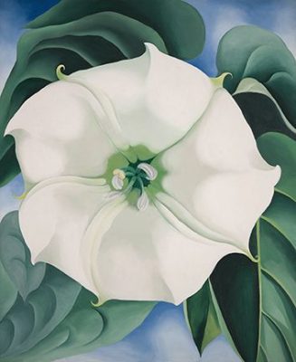 georgia_okeeffe_white-flower-no-1