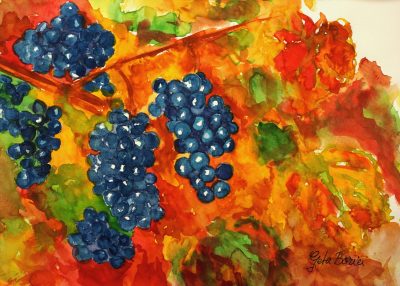 wine-grapes